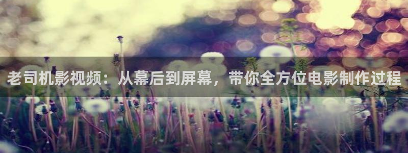 一色桃子电影在线观看